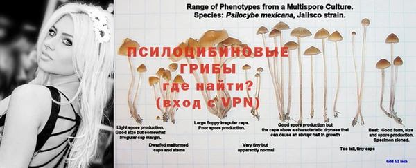 гидра Михайлов