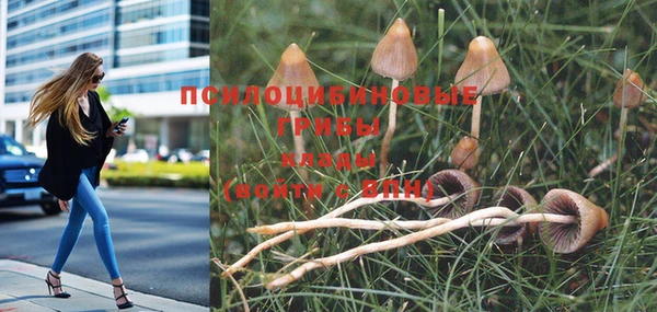 винт Надым