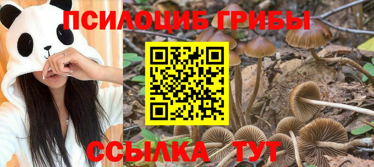 Псилоцибиновые грибы MAGIC MUSHROOMS Прокопьевск