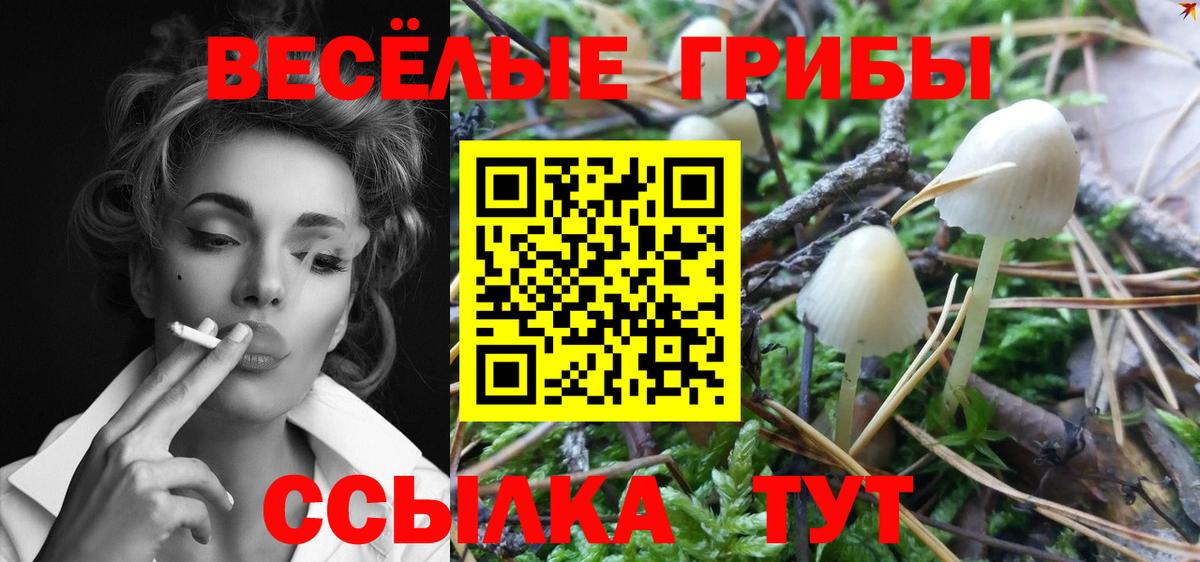 Псилоцибиновые грибы Cubensis  Галлюциногенные грибы Psilocybe  Вход с VPN  Прокопьевск 